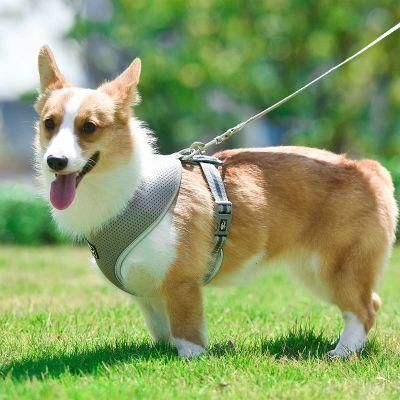 Pet Dog Training Leads Leash Breathable Dog Harness Pet Products Accessories