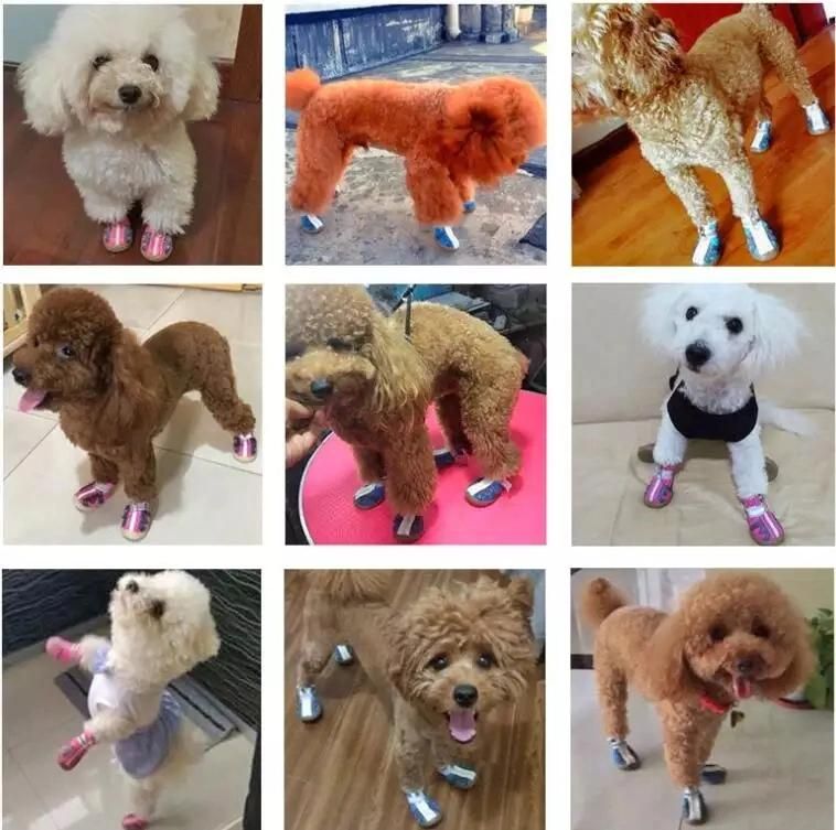 New Design Mesh Sandal Dog Shoes Soft-Soled Dog Shoes