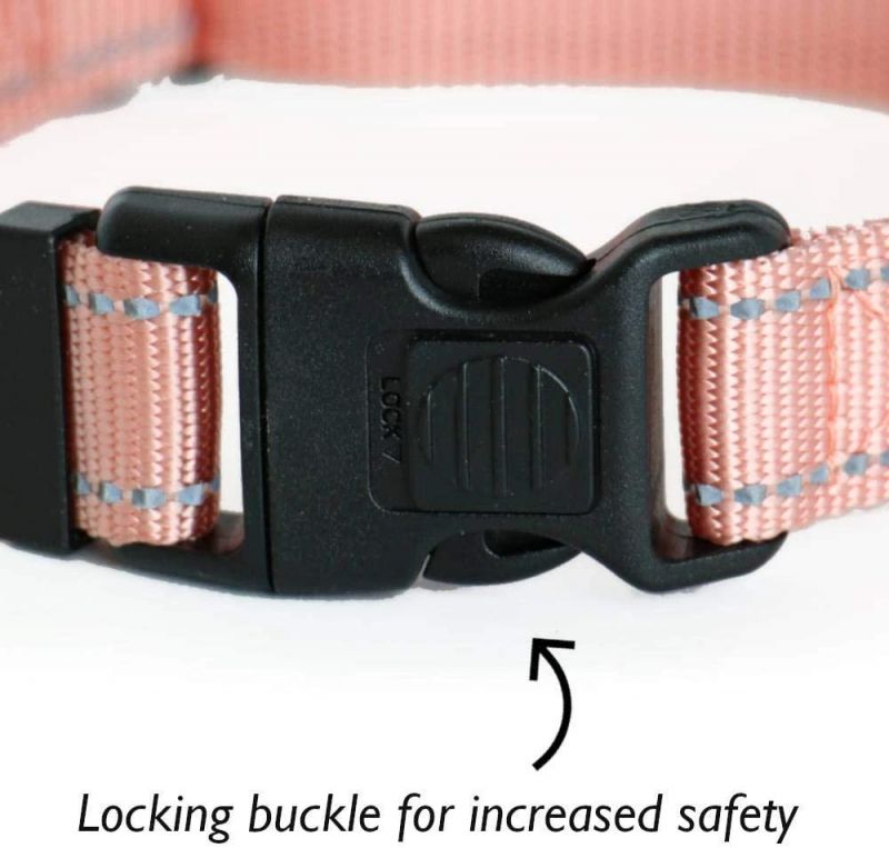 Fast Delivery of Dog Collar with Various Color Option