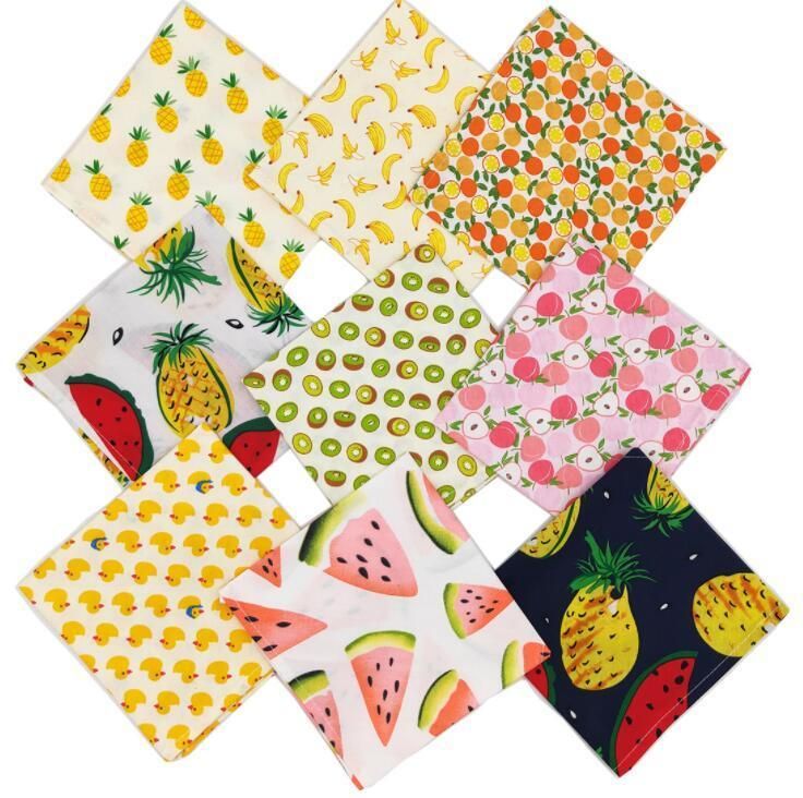 Multiple Pattern Summer Fruit Dog Bandana with Fast Delivery