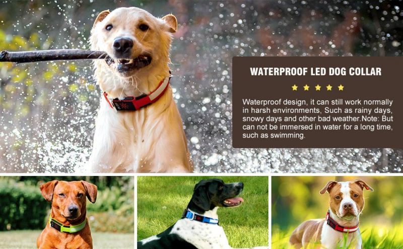 100% Waterproof LED Dog Collar USB Rechargeable Light Glowing Collars