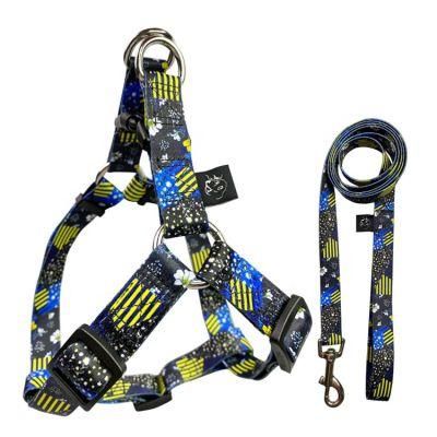 OEM Accept Adjustable Dog Collar Leash and Reversible Harness Set