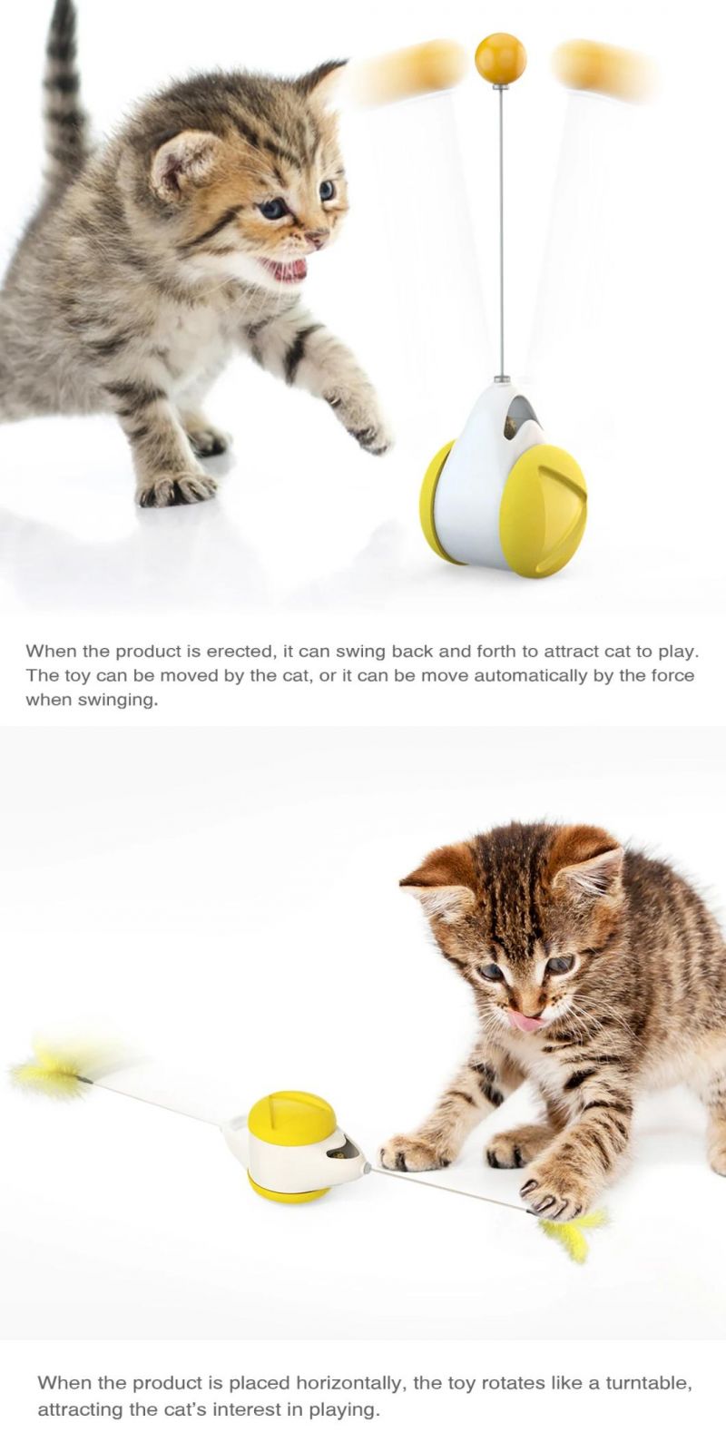 Pets Product for Cat Dog