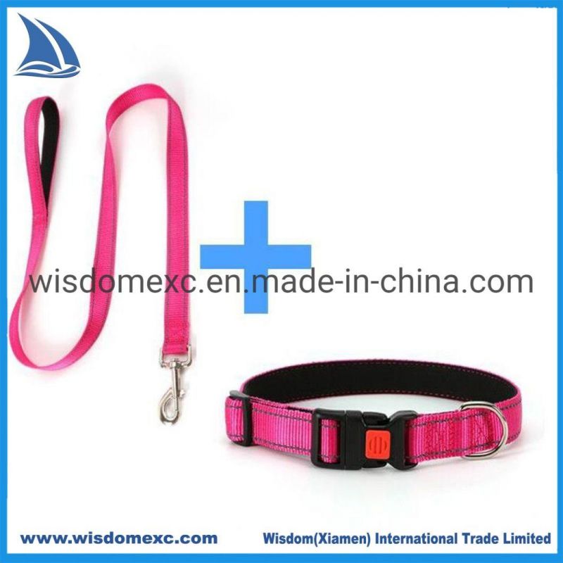 Sample Free Manufacture Stock Dog Leash and Collar