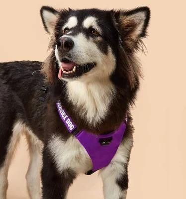 Spupps Purple Color Summer Dog Harness 4 Adjustable Sizes for Puppy Small Medium Large Dogs