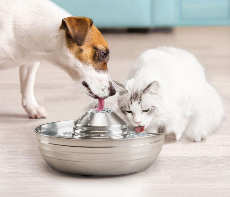 2L Automatic Pet Water Feeder Stainless Steel Water Fountain