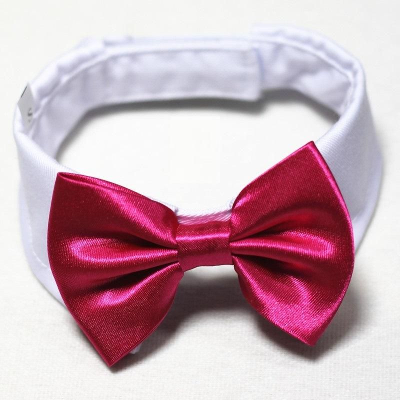 Cute Trend Pet Accessories Bow Tie Dog Cat Collars