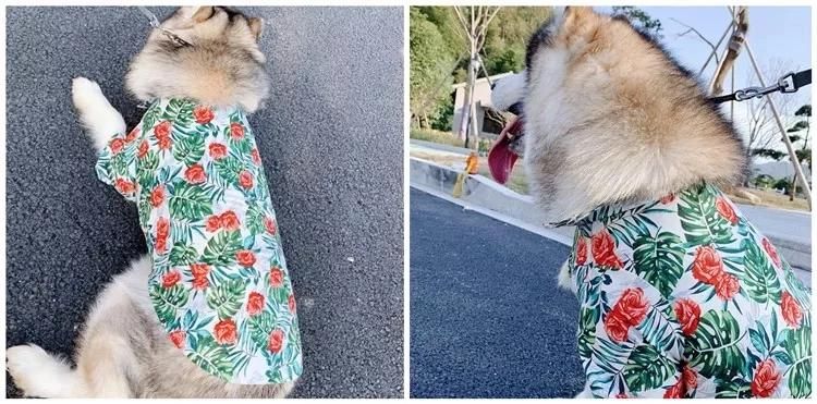 Fashionable Spring/Summer Hawaii Big Dog Floral Shirts Dog and Owner Matching Clothes Low MOQ Customized Dog and Human Mating