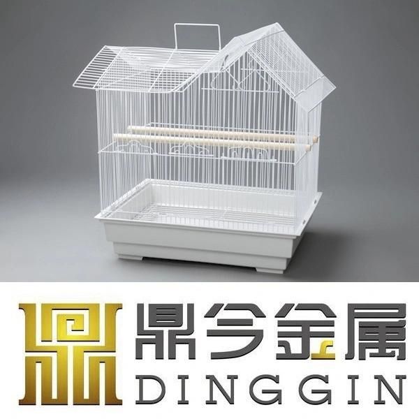 Bird Small Sized Breeds Cage