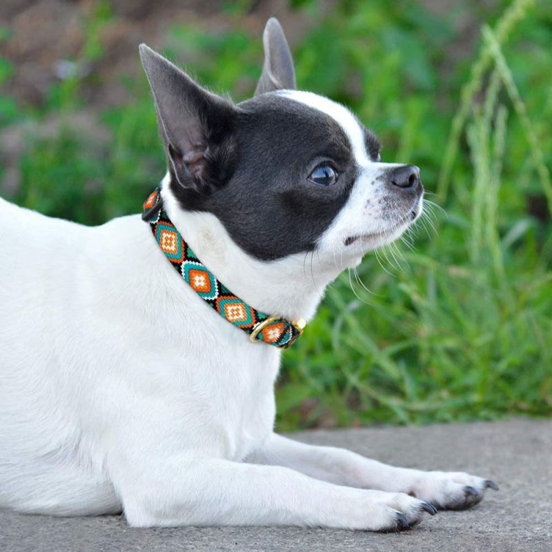 Nylon Dog Collar with Buckle Tribal Pattern