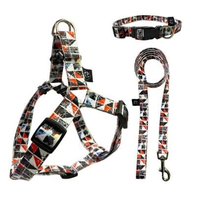 Modern Novel Design Escape Proof No Pull Dog Harness and Leash Set