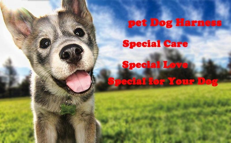 Dog Harness Adjustable Vest Dog Training Collar Pet Harness