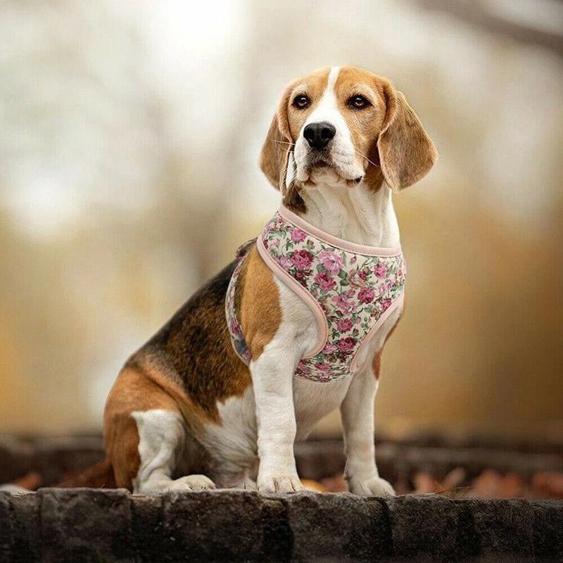 Sublimation Wholesale Custom Pet Product Adjustable Soft Neoprene Dog Harness