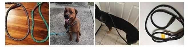 Dog Training Walking Leashes for Medium Large Dogs