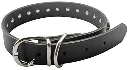 Pet Dog PU Leather Collar with Fashion Cool Skull Studded Adjustable Soft Dog Collar