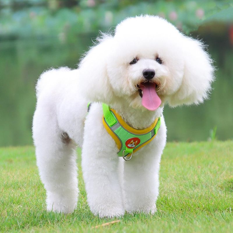 Dog Products, Dog Harness, No-Pull Pet Harness with 2 Leash Clips, Adjustable Soft Padded Dog Vest, Reflective No-Choke with Easy Control Handle for Dog