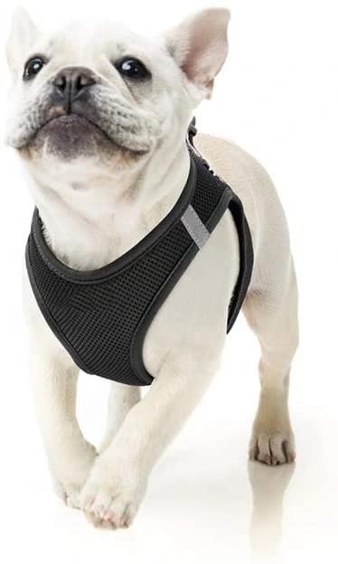 Pet Vest Harness Mesh Pet Harness