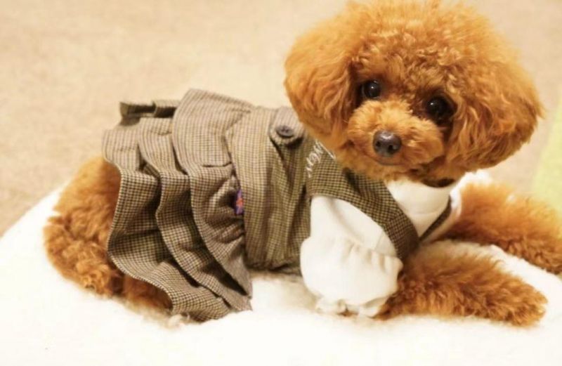 Pet Dress Dog Clothes Pet Clothes