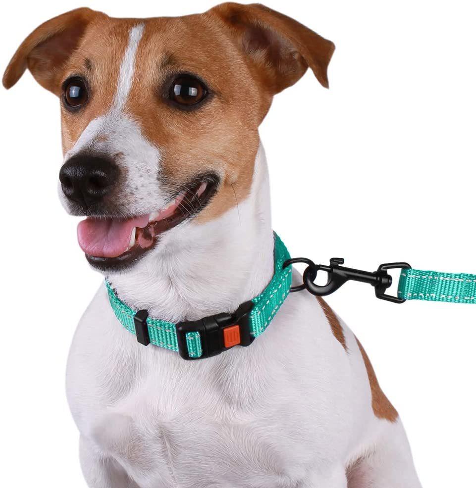 Reflective Dog Collar with Buckle Adjustable Safety Nylon Collars for Dogs