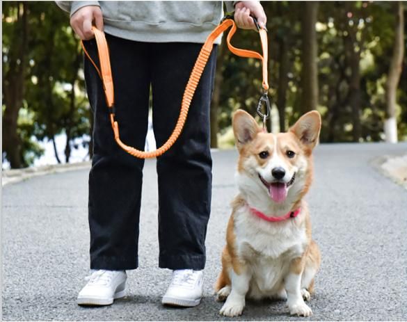 Amazon Cross-Border Dog Car Seat Belt, Car Pet Leash, Buffer Retractable Reflective Leash