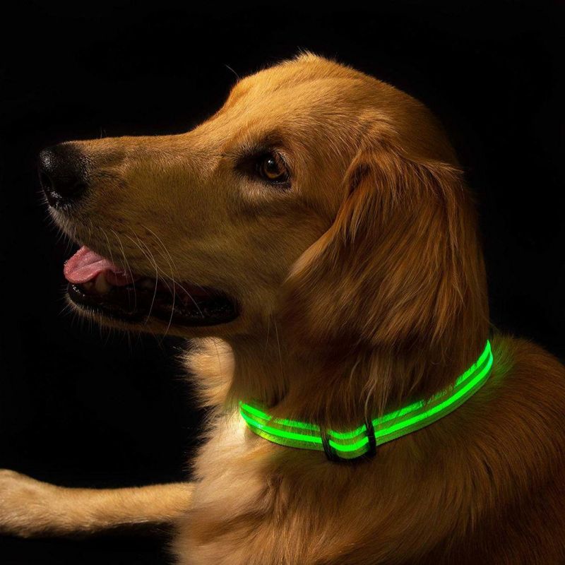 Factory Wholesale Dog Cat Safety Glow Flashing LED Pet Collar