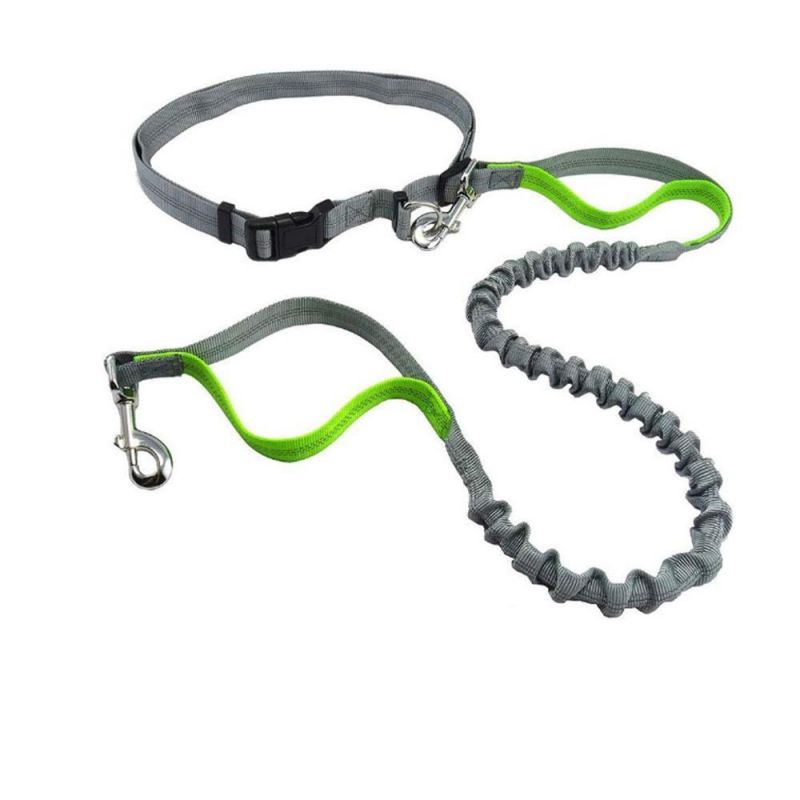 Hands Free Dog Leash and Collar for Running Dog Leash