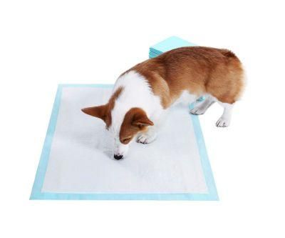 Competitive Price Disposable Nonwoven Dog Training Pads