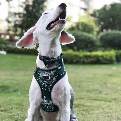 Adjustable Sublimation Dog Harness Breathable Eco Friendly Dog Walking Pet Supplies
