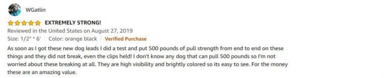 Heavy Duty Rope Dog Leash 1/2" X 6FT Nylon Pet Leash