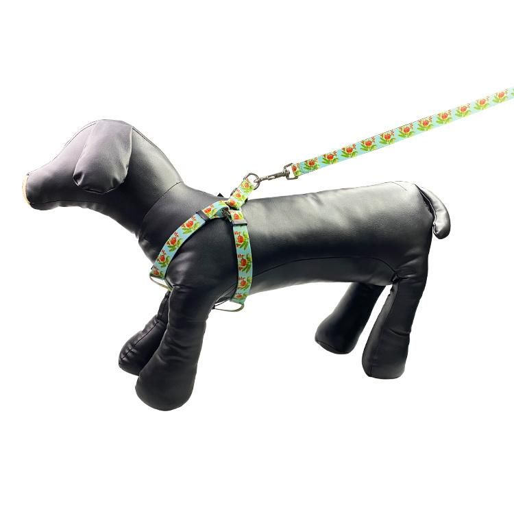 Dog Cool Harness and Leash Manufacturer UK