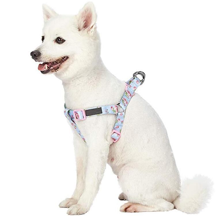 Colorful Ribbon Belt Rich Printing Adjustable Length Dog Harness