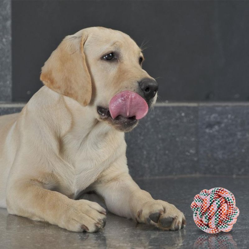 Pet Dog Cotton Rope Ball Interactive Toys Durable Professional Grinding Teeth Braided Cotton Knot Dog Toys Training Molar Toys
