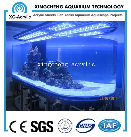 Customized Transparent Large UV Marine Acrylic Fish Tank Price