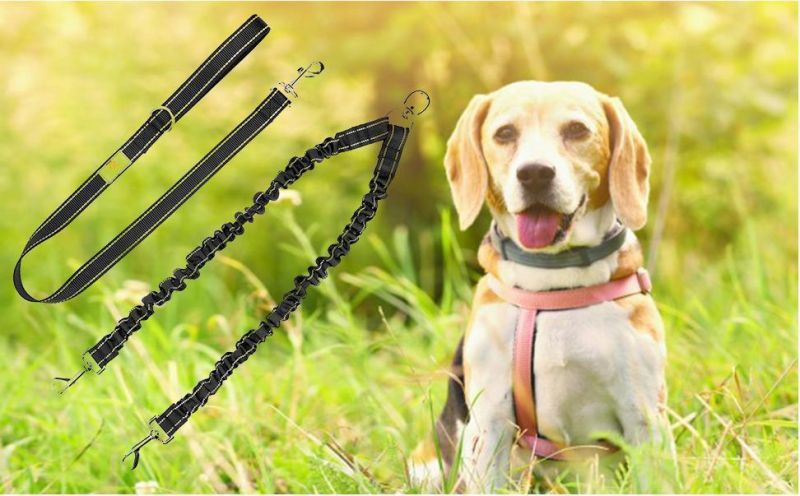 Comfortable Shock Absorbing Reflective Bungee Lead Walk 2 Dogs with Ease