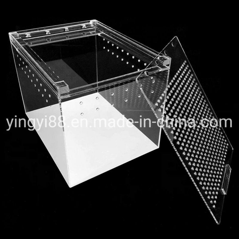 Hot Sale Acrylic Reptile Display Case