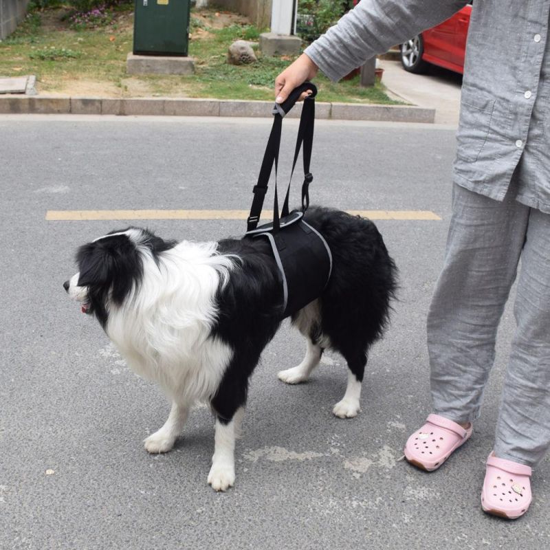 Reflective Band Large Elderly Injured Dogs Assist Lifting Traction Belt