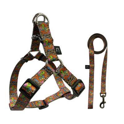 2021 Hot Sale Fashionable Customized Pattern Dog Harness Set