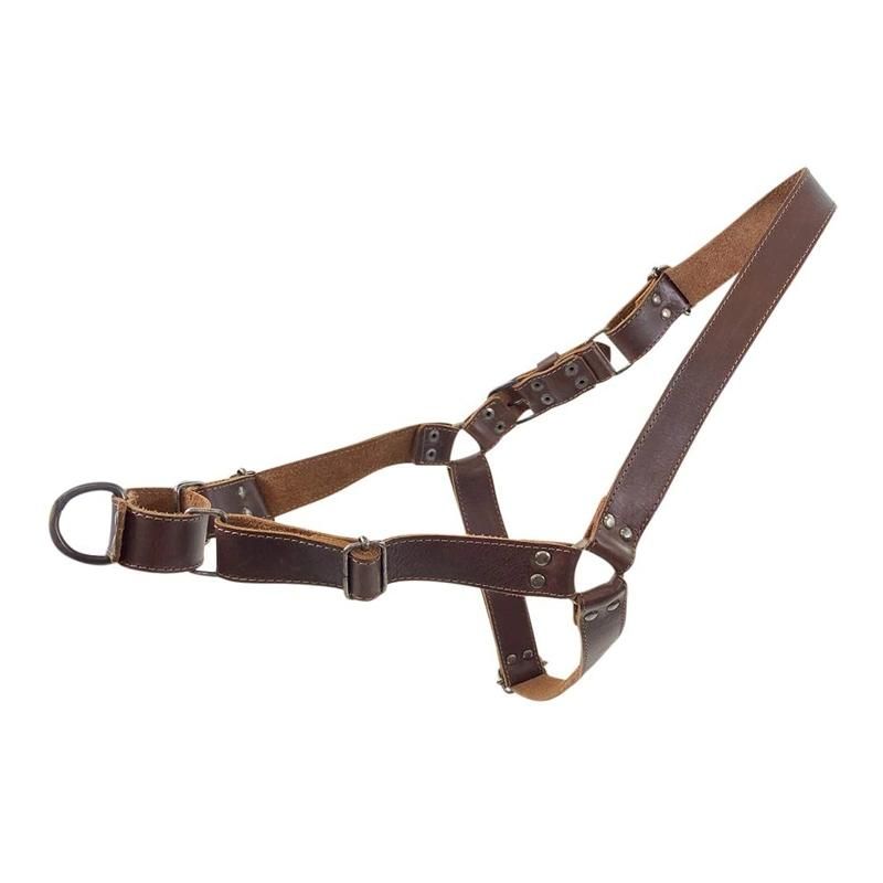 Comfortable Adjustable Full Grain Leather Dog Harness with Heavy Duty Metal and Handle for Large Dog Breeds