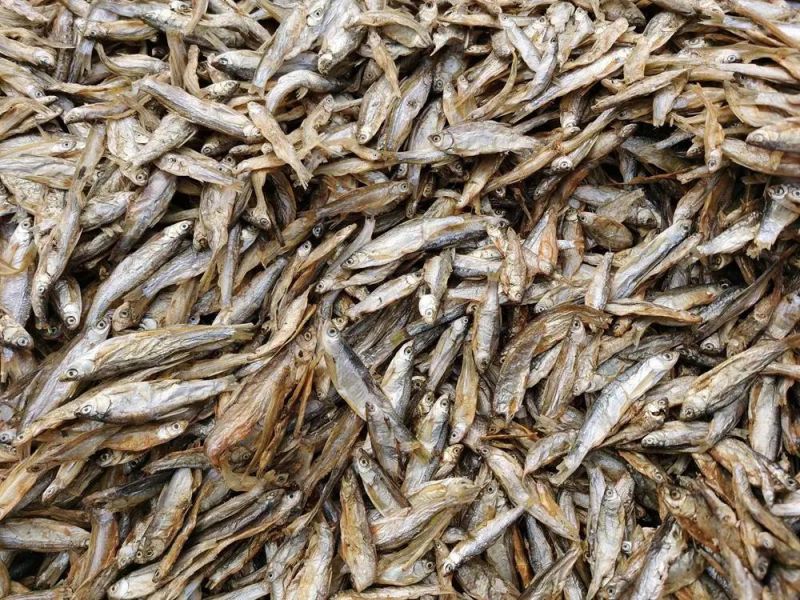 Pet Foods Chinese Dried River Fish 4-8cm