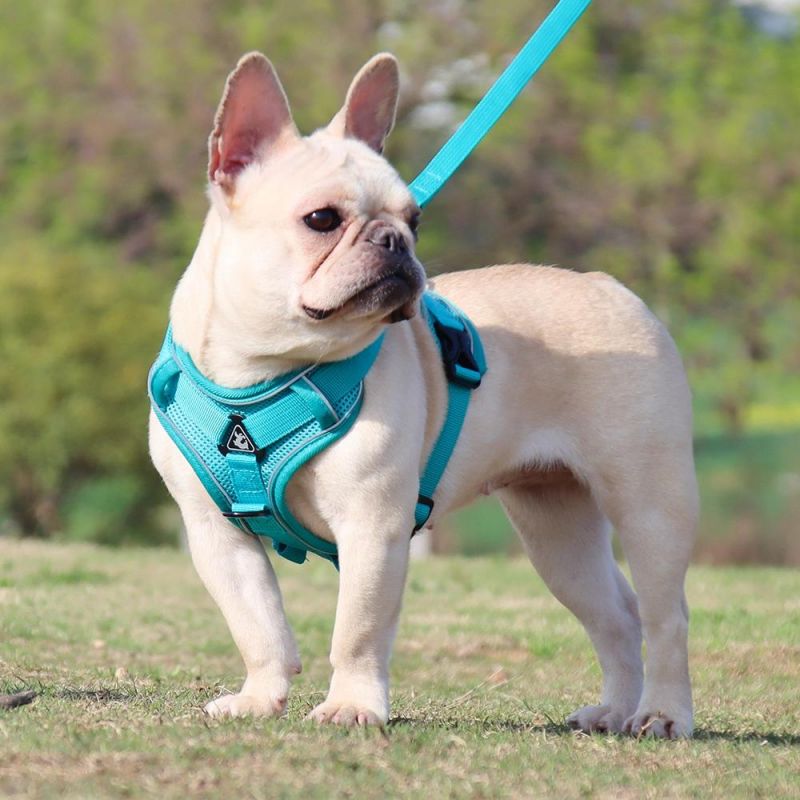 Dog Harness with 150cm Leash Set No Pull Dog Vest