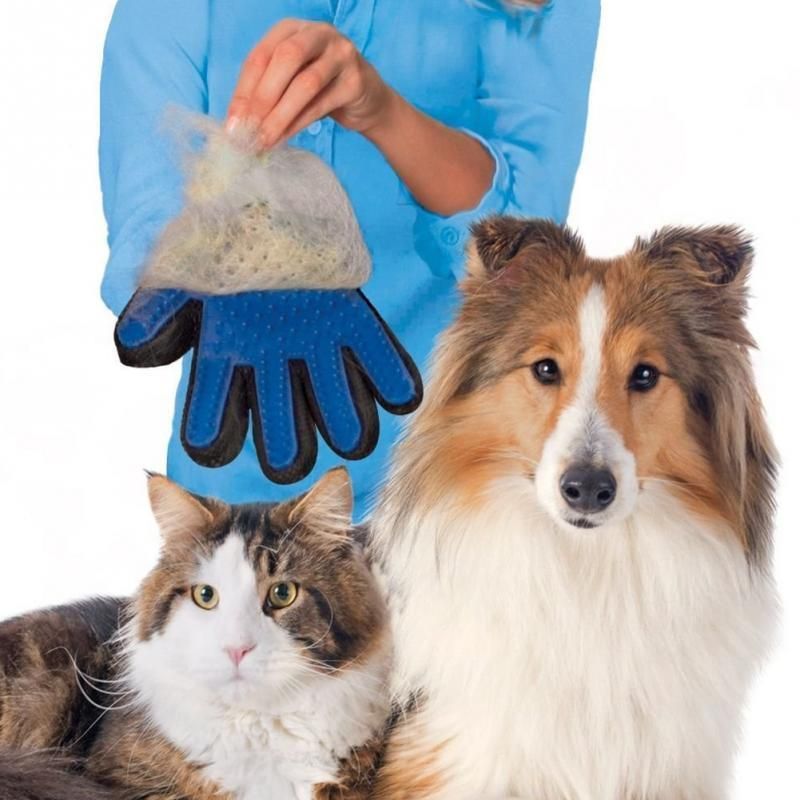 Pet Dog Cat Hair Grooming Cleaning Comb Cleaning Glove Pet Products