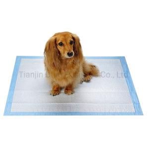 60X60cm Puppy Pet Indoor Toilet Training Pads