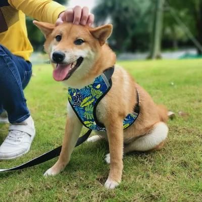 Soft Mesh Dog Harness Ajustable Custom Logo Pattern Pet Supplies Designer Dog Clothes