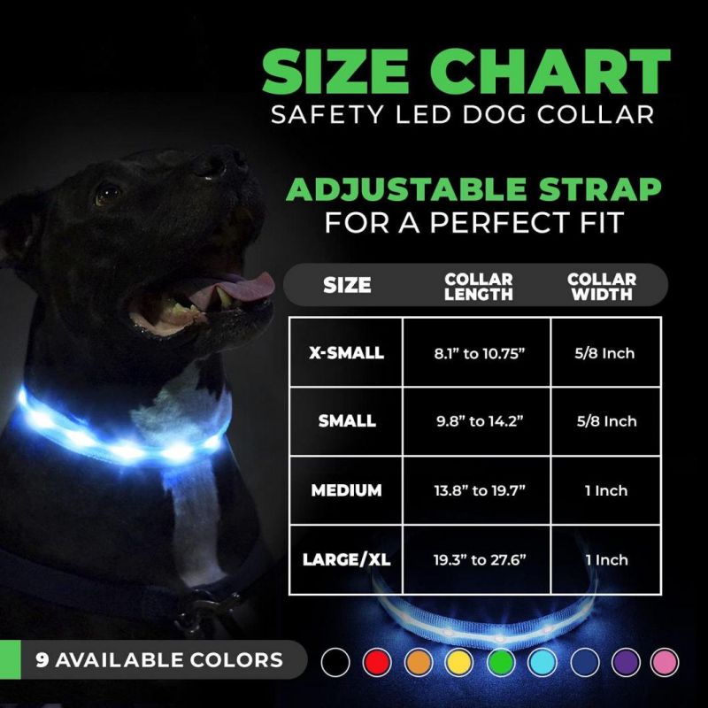 LED Dog Collar-USB Rechargeable with Water Resistant Flashing Light-Xs/S/M/L Size Black