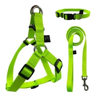 Fashion Style High Quality New Dog Harness and Leash Pet Harness Set for Walking Dog