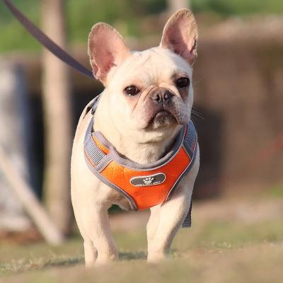 2022 Best Seller Dog Harness Dog Harness Hiking Discount Dog Harness Amazon Dog Harness Joint Issuesh Style Dog Harness