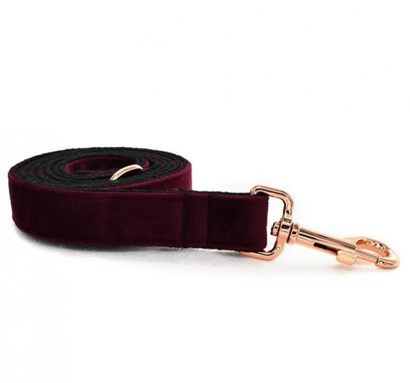 Classic Dog Collar Soft Comfortable Adjustable Collars