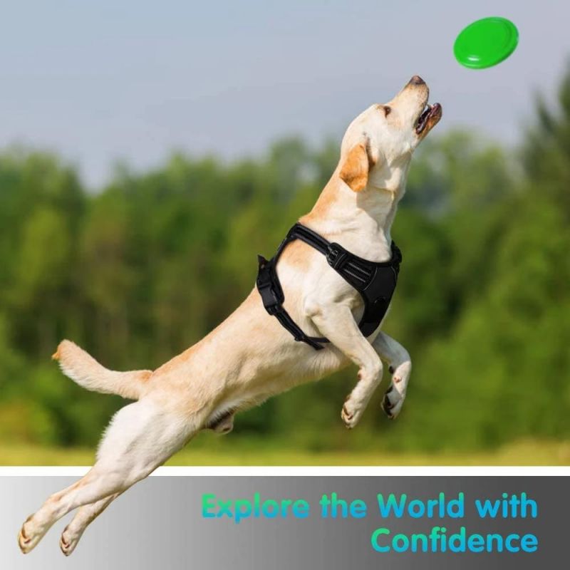 Walking Pet Harness with 2 Metal Rings and Handle
