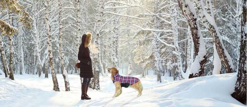 British Style Plaid Waterproof Dog Coats Soft and Warm Inner Layer