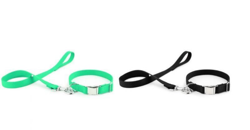 Anti Rust Zinc Alloy Metal Buckle Organic Bamboo Pet Dog Collar